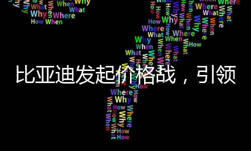 比亞迪發(fā)起價格戰(zhàn)，引領(lǐng)新一輪行業(yè)變革