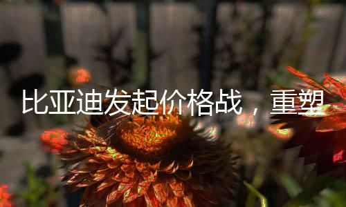 比亞迪發(fā)起價格戰(zhàn)，重塑行業(yè)格局的新篇章