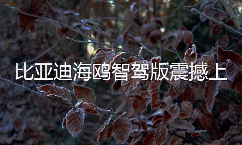 比亞迪海鷗智駕版震撼上市，售價7.88萬起