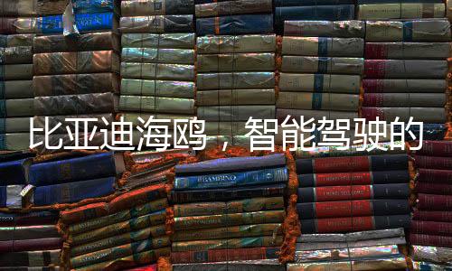 比亞迪海鷗，智能駕駛的新里程碑，僅售價(jià)七萬(wàn)多元起