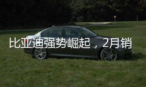 比亞迪強(qiáng)勢(shì)崛起，2月銷售突破32萬(wàn)輛大關(guān)