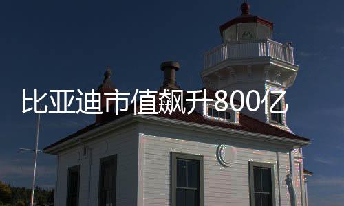 比亞迪市值飆升800億，揭示其成功背后的力量