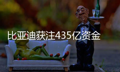 比亞迪獲注435億資金，加速發(fā)展補血新策略引領(lǐng)行業(yè)新風(fēng)向
