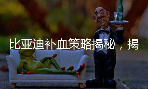 比亞迪補(bǔ)血策略揭秘，揭秘資金布局，預(yù)見未來(lái)發(fā)展