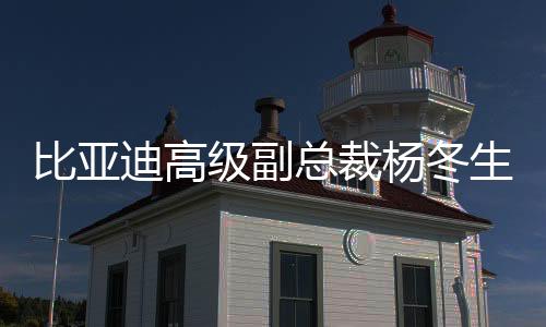 比亞迪高級(jí)副總裁楊冬生：“靈鳶”換電版主要搭載仰望品牌