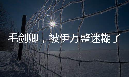毛劍卿，被伊萬(wàn)整迷糊了