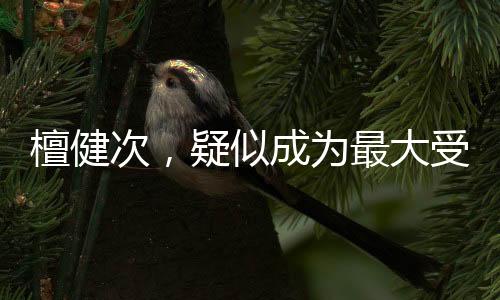 檀健次，疑似成為最大受害者，背后真相引人深思