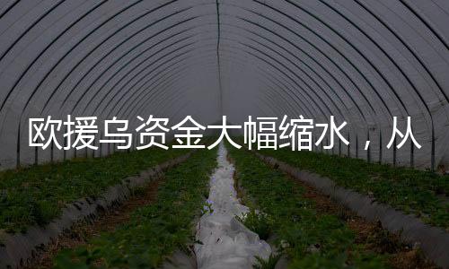 歐援烏資金大幅縮水，從400億到僅余50億的背后原因
