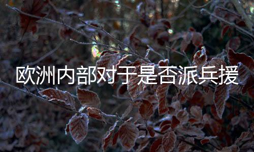 歐洲內(nèi)部對于是否派兵援烏陷入糾結(jié)