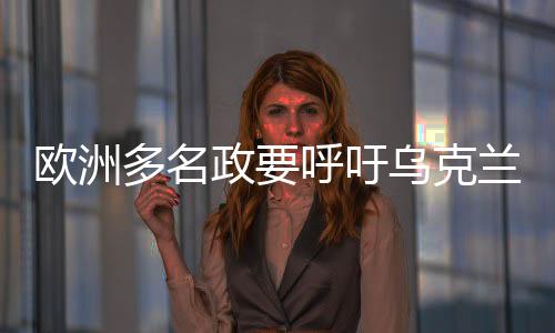 歐洲多名政要呼吁烏克蘭修復(fù)與美國的雙邊關(guān)系