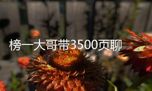榜一大哥帶3500頁聊天記錄報(bào)案——揭秘網(wǎng)絡(luò)背后的故事