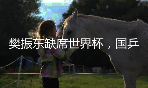 樊振東缺席世界杯，國乒陣容調(diào)整引發(fā)關(guān)注