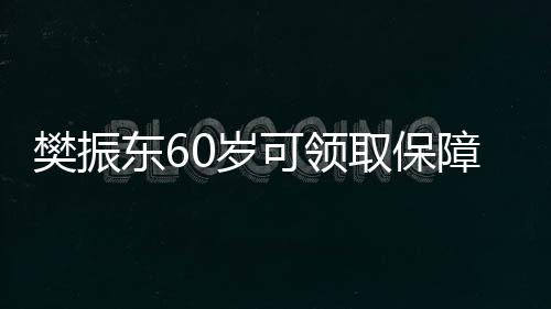 樊振東60歲可領取保障金，一位乒乓球巨星的未來保障