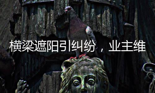 橫梁遮陽引糾紛，業(yè)主維權(quán)獲賠——一起新房擋光事件引發(fā)深思