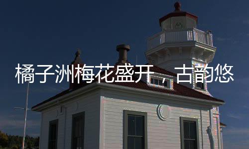 橘子洲梅花盛開，古韻悠長，將古詩具象化展現(xiàn)于世人眼前