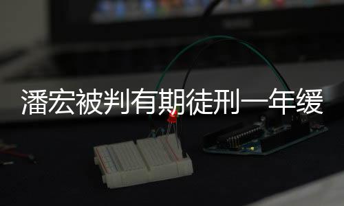 潘宏被判有期徒刑一年緩刑一年，案件解析與啟示