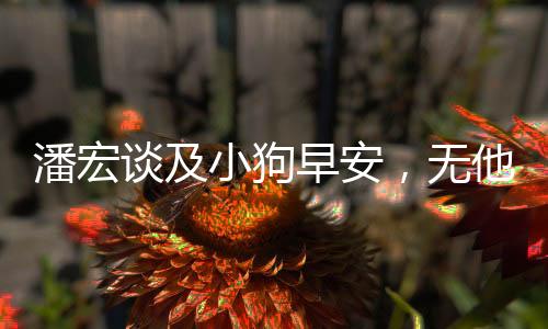 潘宏談及小狗早安，無他，網(wǎng)紅小狗早安或?qū)⒚媾R悲劇？