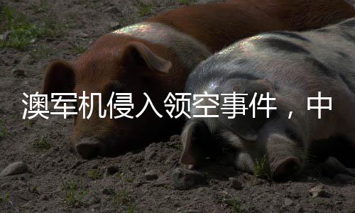 澳軍機侵入領(lǐng)空事件，中國大使回應(yīng)