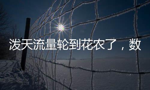 潑天流量輪到花農(nóng)了，數(shù)字化時(shí)代下的花卉產(chǎn)業(yè)新機(jī)遇