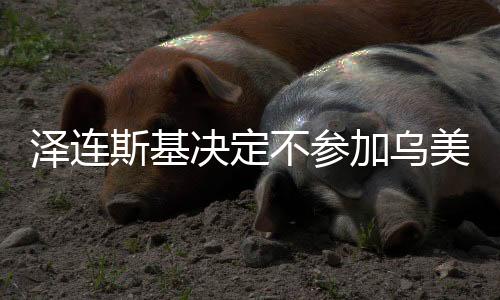 澤連斯基決定不參加烏美會談，烏克蘭外交策略出現(xiàn)新動向