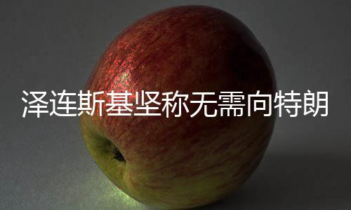 澤連斯基堅稱無需向特朗普道歉，俄烏對話與外交策略探析