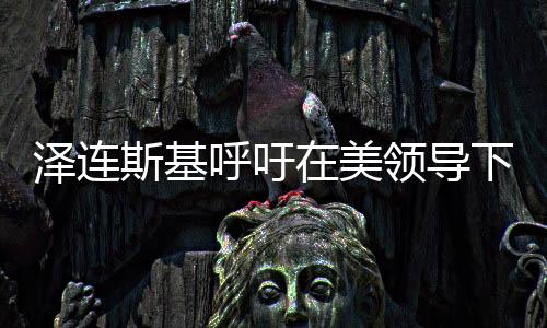 澤連斯基呼吁在美領導下盡快和談，期待俄烏沖突的和平解決