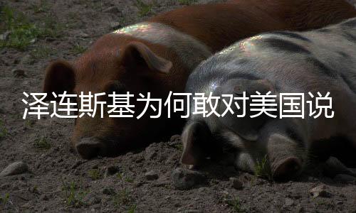 澤連斯基為何敢對(duì)美國說不？深度解析其背后的原因與考量