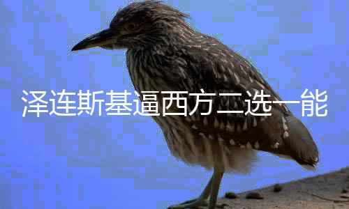 澤連斯基逼西方二選一能否如愿以償？分析烏方新挑戰(zhàn)與傳統(tǒng)訴求的矛盾交融。