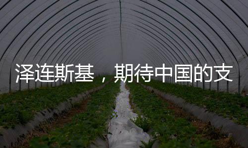 澤連斯基，期待中國的支持與幫助