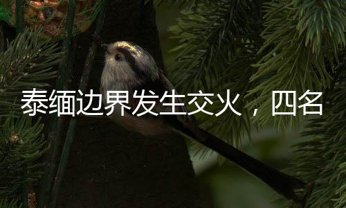 泰緬邊界發(fā)生交火，四名毒販斃命