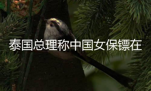 泰國總理稱中國女保鏢在泰國也火了，跨文化的魅力與安保合作的新篇章