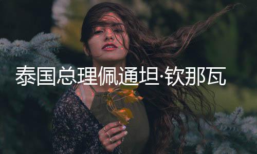 泰國(guó)總理佩通坦·欽那瓦一行參訪華彬集團(tuán)