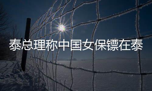 泰總理稱中國女保鏢在泰國也火了，跨國安全合作的矚目焦點(diǎn)