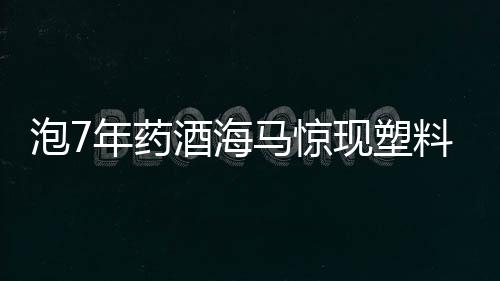 泡7年藥酒海馬驚現(xiàn)塑料成分，引發(fā)關(guān)注與探討