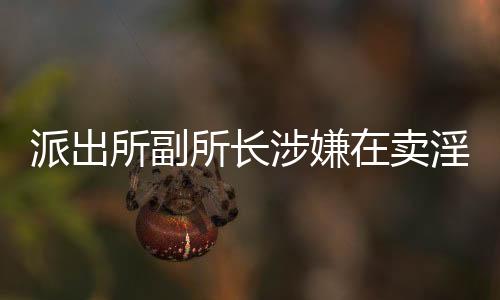 派出所副所長(zhǎng)涉嫌在賣淫案中徇私舞弊，引發(fā)社會(huì)關(guān)注