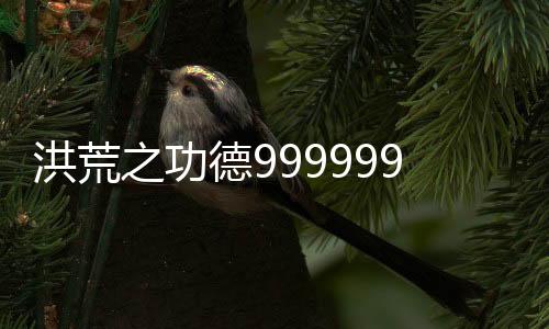 洪荒之功德99999999