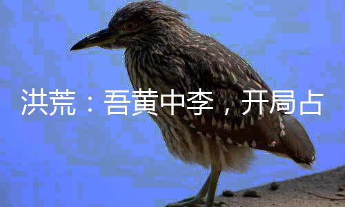 洪荒：吾黃中李，開局占據(jù)蓬萊島