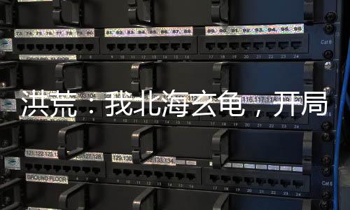 洪荒：我北海玄龜，開局悟性逆天