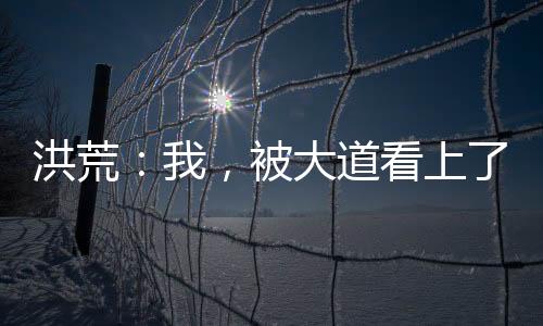 洪荒：我，被大道看上了