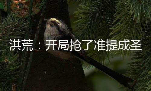 洪荒：開局搶了準(zhǔn)提成圣蒲團(tuán)！