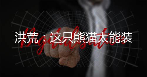 洪荒：這只熊貓?zhí)苎b
