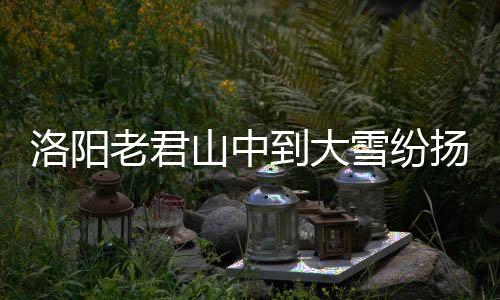 洛陽老君山中到大雪紛揚，美景如畫