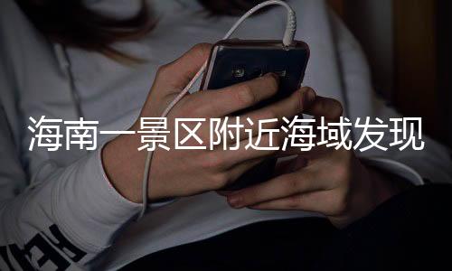 海南一景區(qū)附近海域發(fā)現(xiàn)罕見巨鯨尸體，引發(fā)關注熱潮