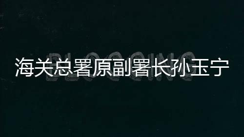 海關(guān)總署原副署長孫玉寧被逮捕事件深度解析