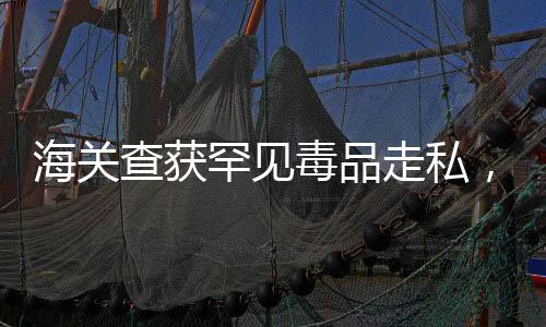 海關(guān)查獲罕見毒品走私，秘密運送之疑案揭秘