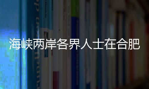 海峽兩岸各界人士在合肥祭拜劉銘傳