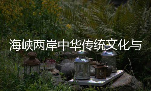 海峽兩岸中華傳統文化與現代文化融合交流活動在湖南啟幕