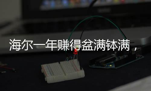 海爾一年賺得盆滿缽滿，成功背后的故事并非單一靠老板