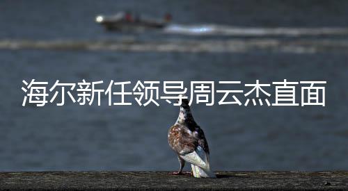 海爾新任領導周云杰直面質疑，冷若冰箱的老總形象與海爾的未來展望