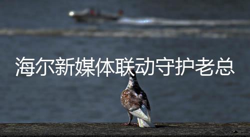 海爾新媒體聯(lián)動(dòng)守護(hù)老總，一場(chǎng)全面整合的公關(guān)行動(dòng)